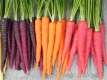 10 продуктов, которые были генетически модифицированы, но об этом мало кто знает 10 продуктов, которые были генетически модифицированы, но об этом мало кто знает
