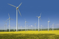 Найбільша у Європі: китайська компанія планує збудувати вітрову електростанцію на Донбасі за $1 млрд