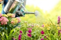 Как организовать полив огорода своими руками?