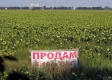 Земельна реформа: Рада підтримала продаж землі у другому читанні