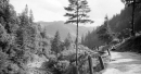 Буковецький перевал на столітніх кадрах