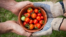 Українці масово міняють мотлох на продукти Українці масово міняють мотлох на продукти