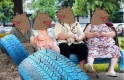 Шурупи для дітей. Чи варто молоді воювати з пенсіонерами Шурупи для дітей. Чи варто молоді воювати з пенсіонерами
