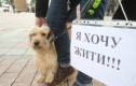 За знущання над тваринами тепер можуть посадити на 8 років