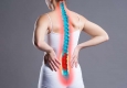 Упражнения для здоровья спины и позвоночника