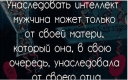 Интересные факты из мира генетики. От кого нам по наследству передается интеллект?