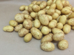 Як правильно приготувати молоду картоплю та інші секрети коренеплоду