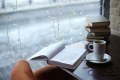 10 найцікавіших українських і неукраїнських книжок 2016 року 10 найцікавіших українських і неукраїнських книжок 2016 року