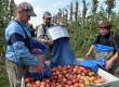 Украинским трудовым мигрантам обещают пенсию на родине