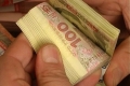 Нардеп Семенуха за підвищенням пенсій вбачає масову «купівлю» голосів