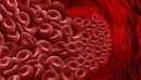 Нормальна в’язкість: Натуральні засоби для розрідження крові