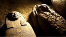 Археологи відкопали одразу 27 стародавніх єгипетських саркофагів