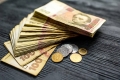 Мінфін перевірить законність отримання субсидій