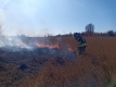 Україна бореться не тільки з коронавірусом, а й з масовими пожежами 