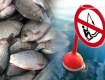 До червня заборонили ловити рибу