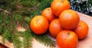 Вы задумывались, почему во всех странах едят мандарины и апельсины на Новый год?