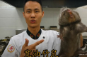 У китайців знайшли новий делікатес - 100 способів готувати величезних товстих щурів