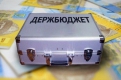 Теперь каждый украинец может формировать госбюджет