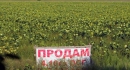 Земельна реформа: міфи та реальність Земельна реформа: міфи та реальність