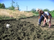 Чи можна працювати на городі у свято Благовісника 8 квітня