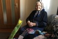 92-летняя бабушка из Прикарпатья вяжет носки для украинских бойцов