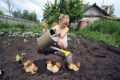 Как сеять грибы