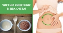 Как вывести до 15 кг шлаков из кишечника