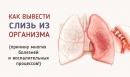 Как вывести слизь из организма и стать здоровее на 10 лет? Как вывести слизь из организма и стать здоровее на 10 лет?