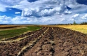 Кому і чому невигідний мораторій на продаж землі Кому і чому невигідний мораторій на продаж землі