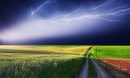 Гром и молния: как защитить себя во время грозы