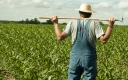 Фермер став пенсіонером: чи потрібно повідомляти ДФС