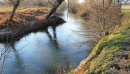 У річці поблизу Бурштинської ТЕС екологи виявили перевищення норми забруднення води у понад 130 разів