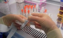 Украина первая в СНГ получила госрегистрацию на лечение стволовыми клетками