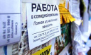 Українські роботодавці вирішили економити на досвіді
