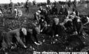 Рівно 80 років тому комуністи вчинили геноцид українського селянства та козацтва