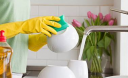 Are You Hosting Billions of Germs in Your House?