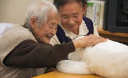У Японії кожний п’ятий довгожитель має симптоми слабоумства