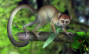 В Китае найдены останки древнейшего в мире примата