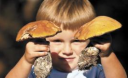 Все, що ви маєте знати про гриби: цікаві факти, міфи і суворі правила