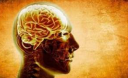 Ухудшение памяти вызвано высоким уровнем сахара в крови – ученые