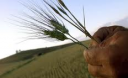 Які пенсіонери можуть скористатися пільгою зі сплати земельного податку Які пенсіонери можуть скористатися пільгою зі сплати земельного податку