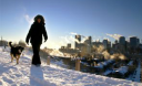 Деньги на морозе: как заработать в зимнюю стужу
