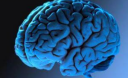 Народные рецепты при нарушении памяти Народные рецепты при нарушении памяти