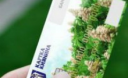 Картка киянина — тепер для всіх Картка киянина — тепер для всіх