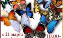 Киевская выставка живых бабочек и других насекомых