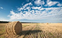 Серпень — багач, запасів збирач