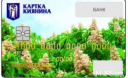 Срок обязательного введения «карточки киевлянина» продлили до 9 ноября Срок обязательного введения «карточки киевлянина» продлили до 9 ноября