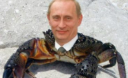 ЗМІ: У Путіна діагностували рак ЗМІ: У Путіна діагностували рак