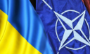 Українці на референдумі самі вирішать, чи вступати країні до НАТО - Порошенко Українці на референдумі самі вирішать, чи вступати країні до НАТО - Порошенко