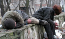 В Киеве создали Служба спасения бездомных В Киеве создали Служба спасения бездомных